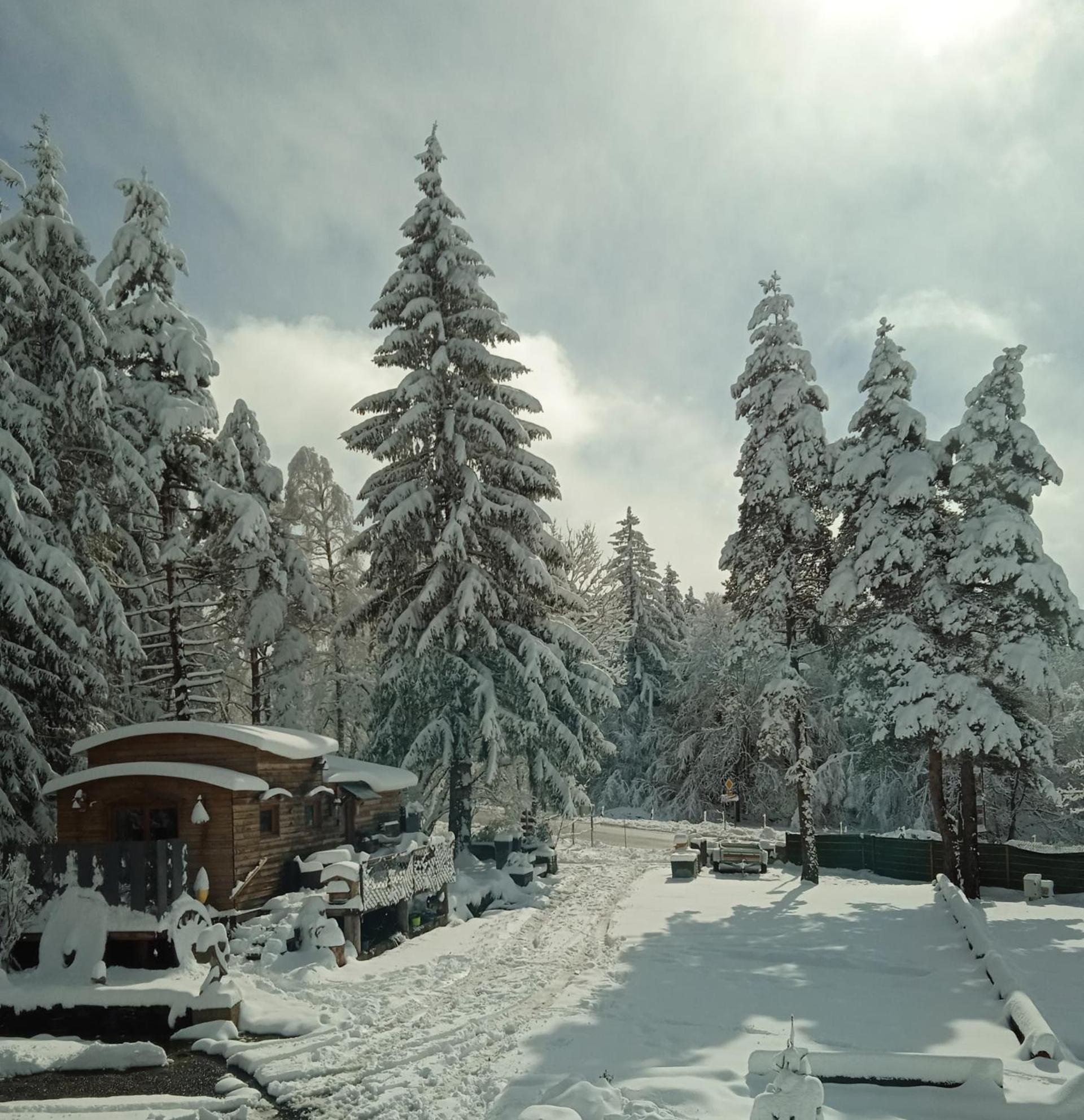 Champclause Chalet Grenouille Domaine De La Mamounette מראה חיצוני תמונה