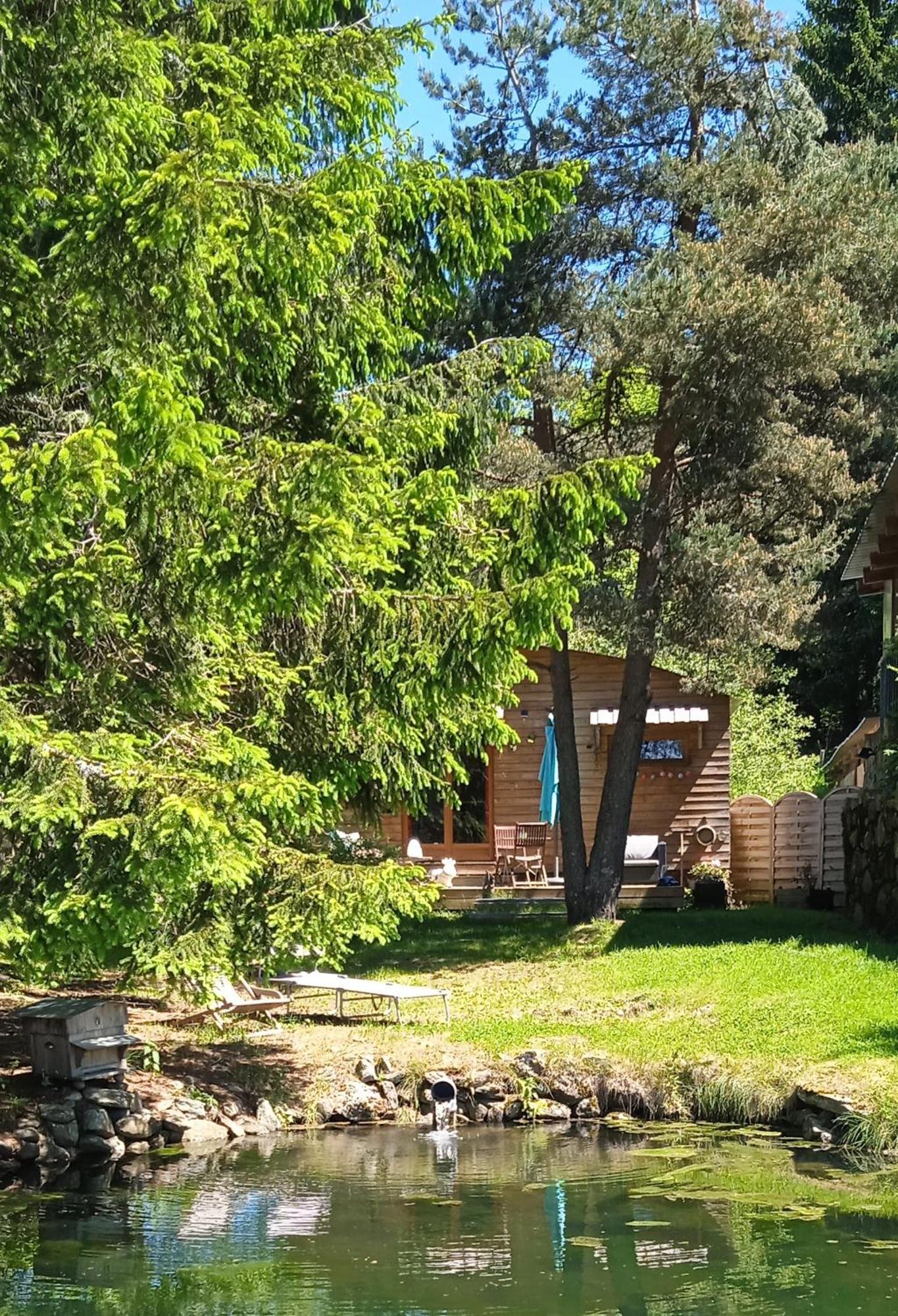 Champclause Chalet Grenouille Domaine De La Mamounette מראה חיצוני תמונה