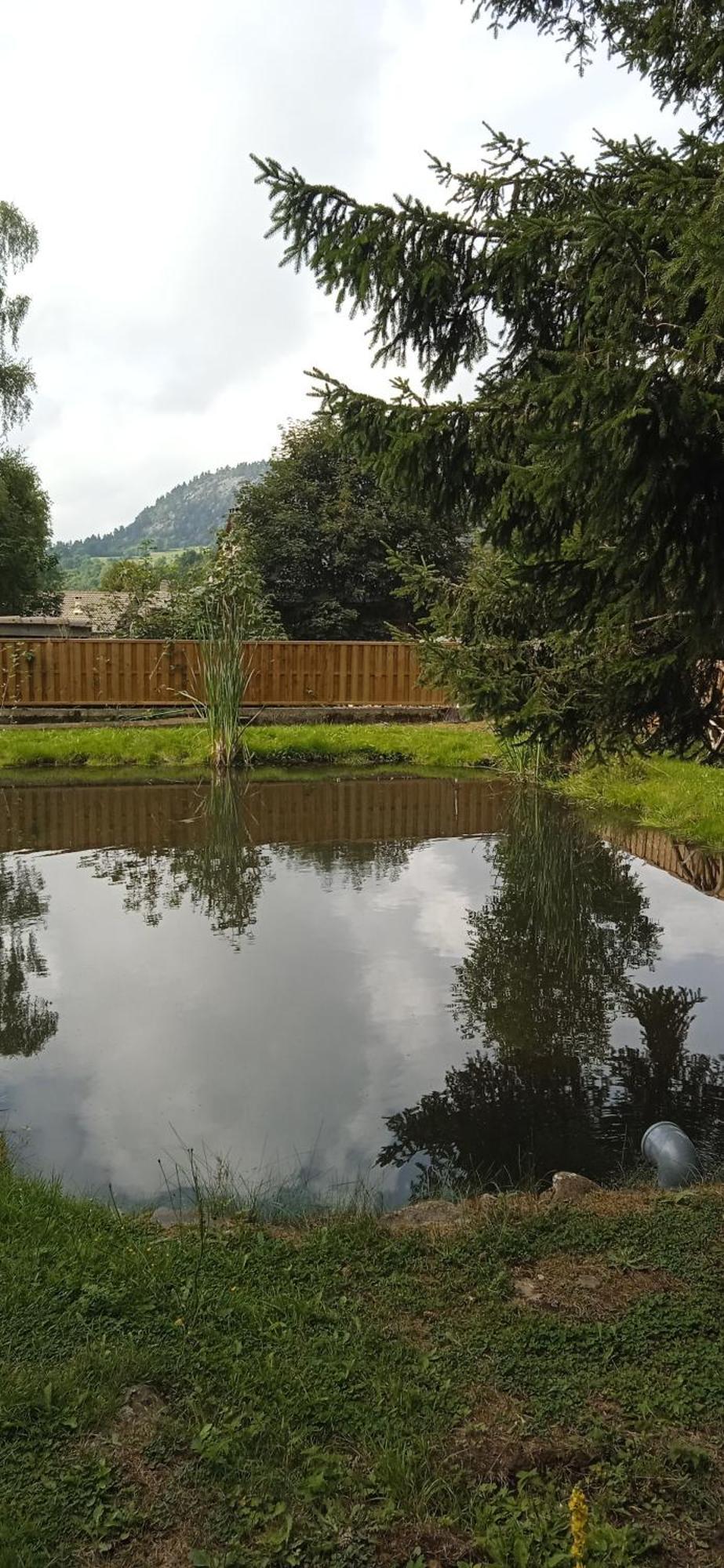 Champclause Chalet Grenouille Domaine De La Mamounette מראה חיצוני תמונה