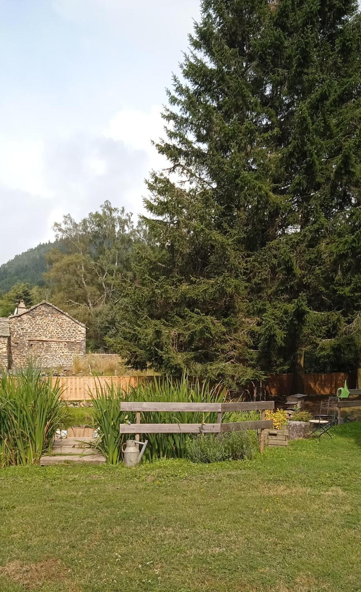 Champclause Chalet Grenouille Domaine De La Mamounette מראה חיצוני תמונה