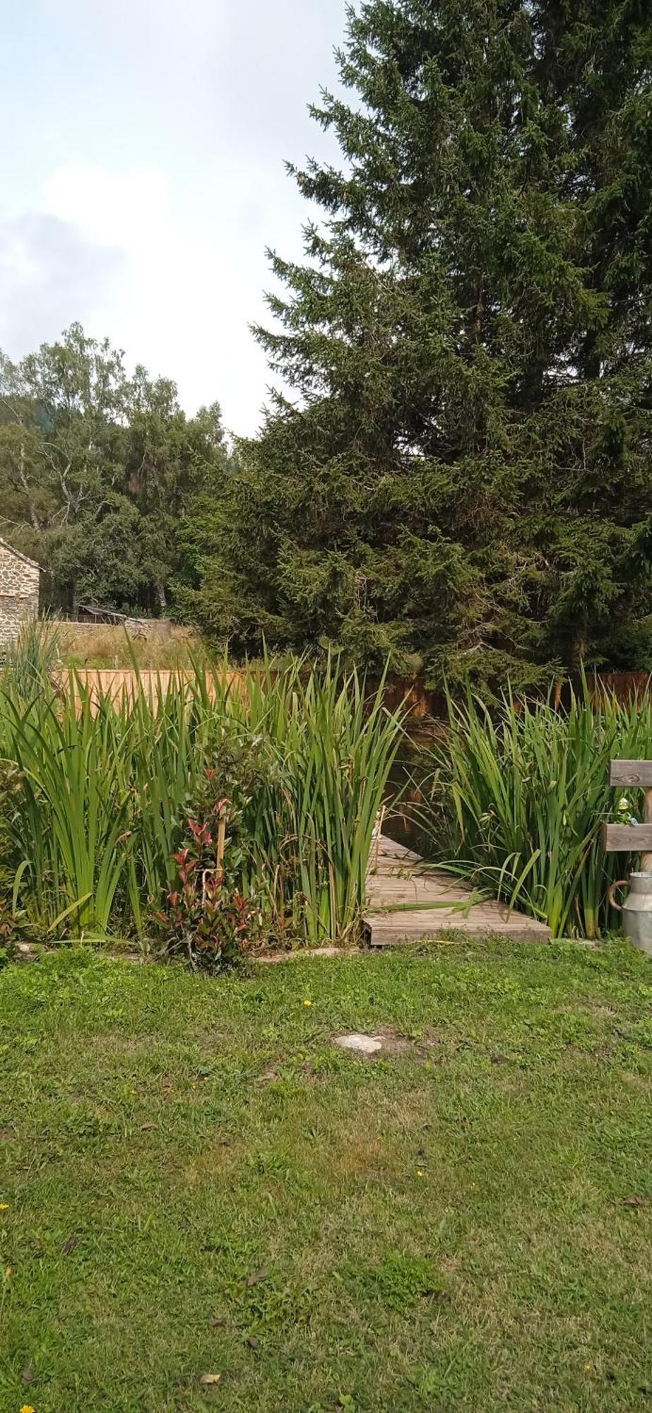 Champclause Chalet Grenouille Domaine De La Mamounette מראה חיצוני תמונה