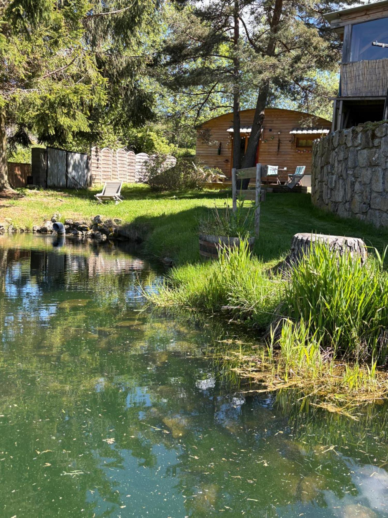 Champclause Chalet Grenouille Domaine De La Mamounette מראה חיצוני תמונה